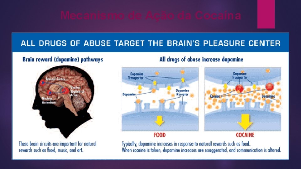 Mecanismo de Ação da Cocaína Mecanismo de Ação da Cocaína