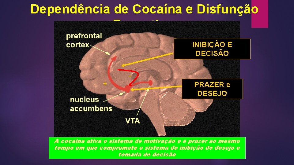 Dependência de Cocaína e Disfunção Executiva INIBIÇÃO E DECISÃO + PRAZER e DESEJO A Dependência de Cocaína e Disfunção Executiva INIBIÇÃO E DECISÃO + PRAZER e DESEJO A
