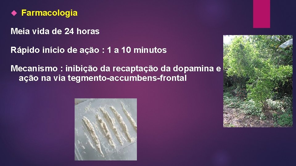 Farmacologia Meia vida de 24 horas Rápido início de ação : 1 a Farmacologia Meia vida de 24 horas Rápido início de ação : 1 a