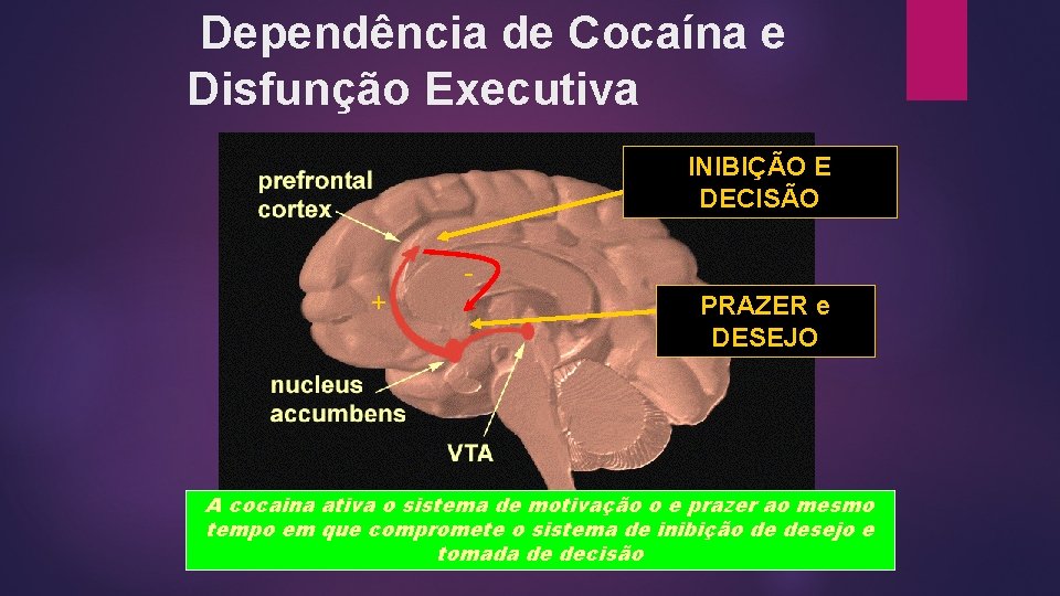 Dependência de Cocaína e Disfunção Executiva INIBIÇÃO E DECISÃO + PRAZER e DESEJO A Dependência de Cocaína e Disfunção Executiva INIBIÇÃO E DECISÃO + PRAZER e DESEJO A