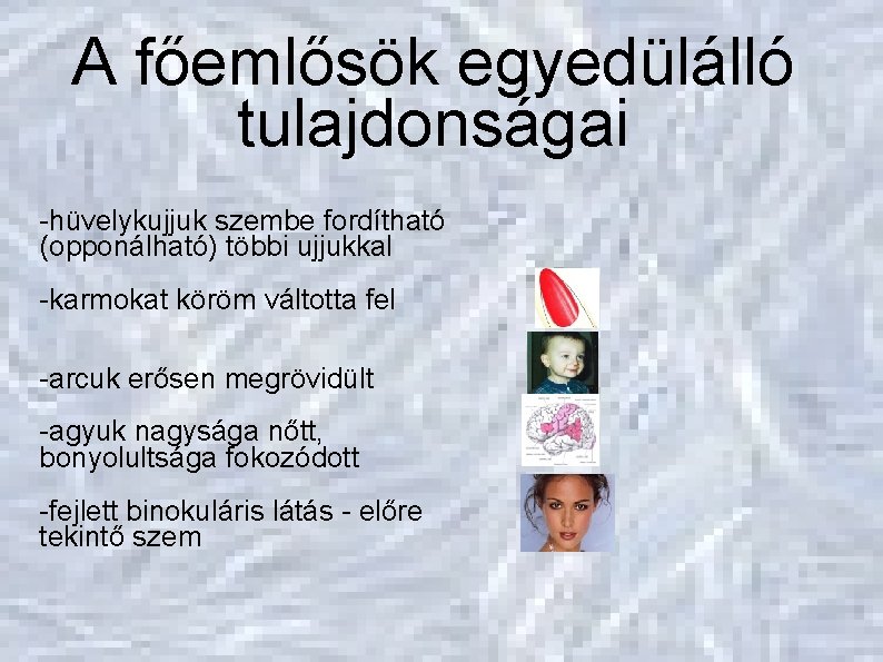 Evolúció A főemlősök egyedülálló tulajdonságai Főemlősökké válás -hüvelykujjuk szembe fordítható (opponálható) többi ujjukkal -karmokat Evolúció A főemlősök egyedülálló tulajdonságai Főemlősökké válás -hüvelykujjuk szembe fordítható (opponálható) többi ujjukkal -karmokat