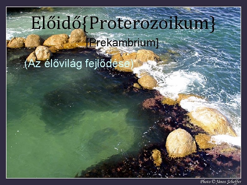 Előidő{Proterozoikum} [Prekambrium] (Az élővilág fejlődése) 