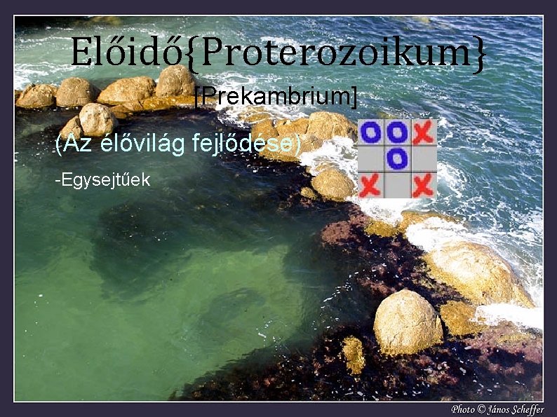 Előidő{Proterozoikum} [Prekambrium] (Az élővilág fejlődése) -Egysejtűek 