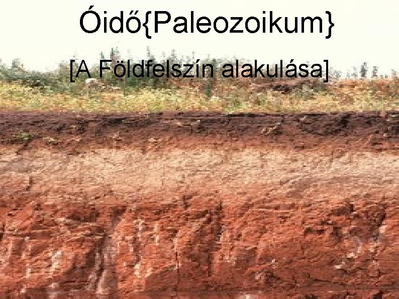 Óidő{Paleozoikum} [A Földfelszín alakulása] 