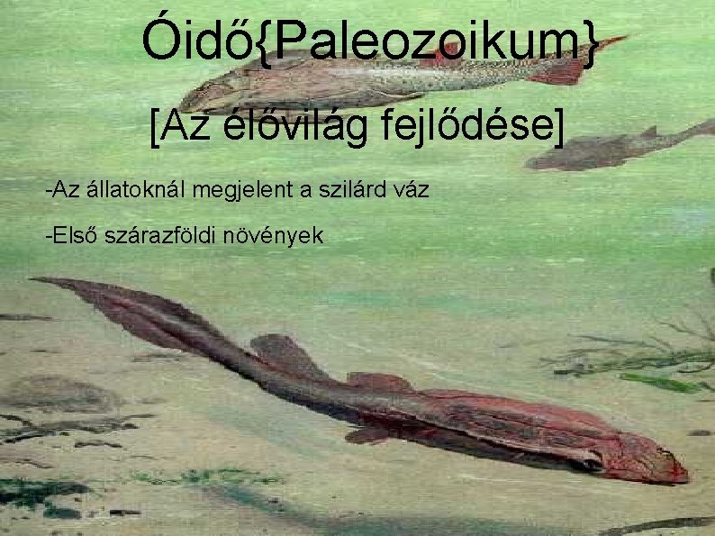 Óidő{Paleozoikum} [Az élővilág fejlődése] -Az állatoknál megjelent a szilárd váz -Első szárazföldi növények 