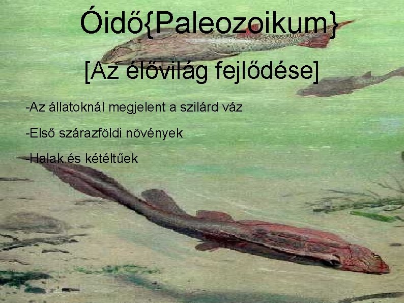 Óidő{Paleozoikum} [Az élővilág fejlődése] -Az állatoknál megjelent a szilárd váz -Első szárazföldi növények -Halak