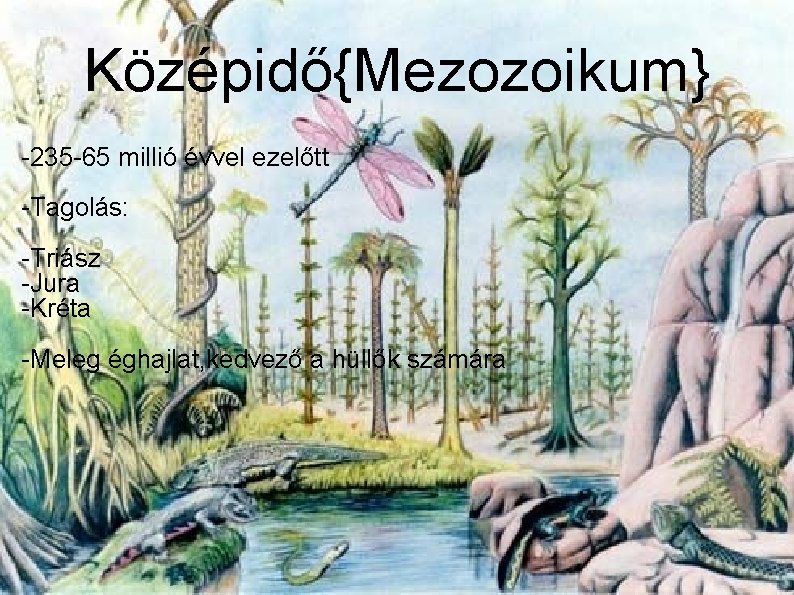 Középidő{Mezozoikum} -235 -65 millió évvel ezelőtt -Tagolás: -Triász -Jura -Kréta -Meleg éghajlat, kedvező a