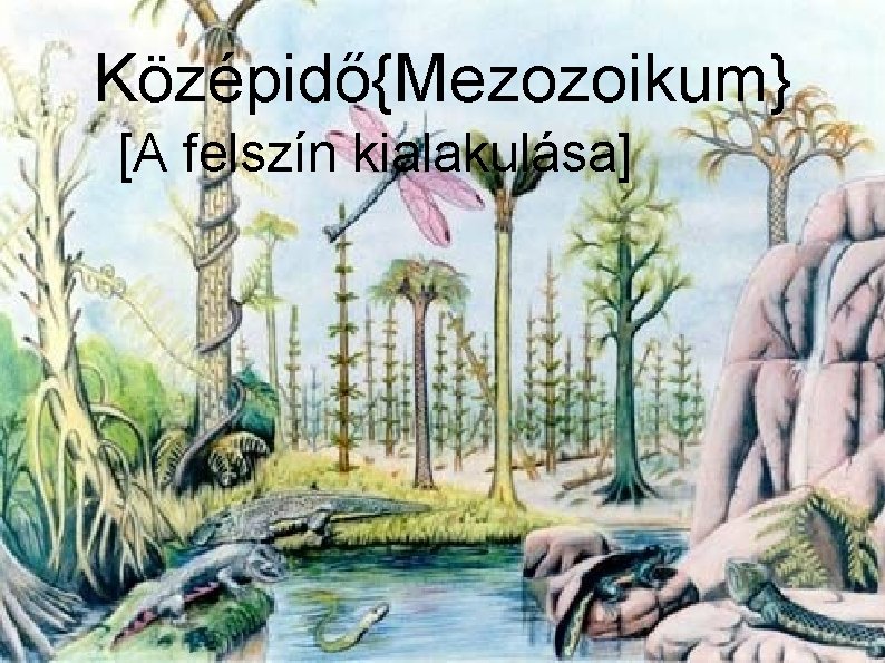 Középidő{Mezozoikum} [A felszín kialakulása] 