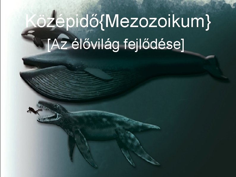 Középidő{Mezozoikum} [Az élővilág fejlődése] 