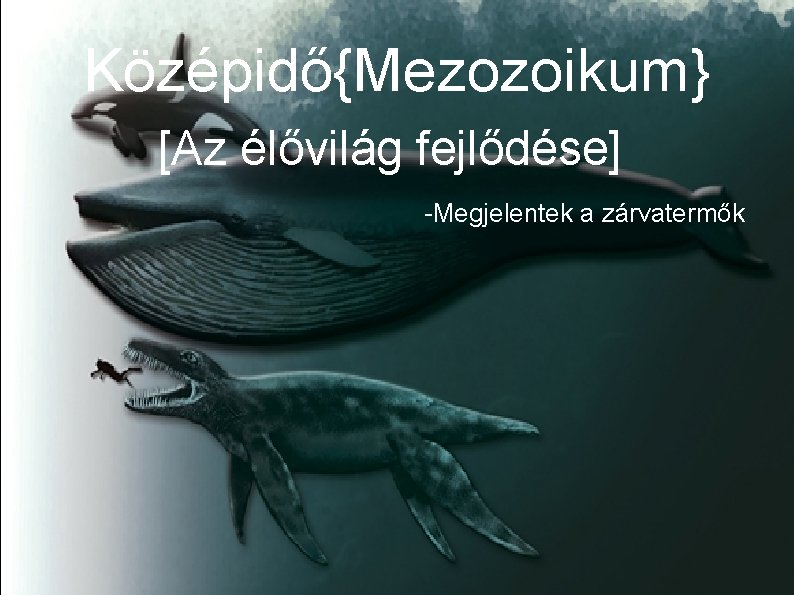 Középidő{Mezozoikum} [Az élővilág fejlődése] -Megjelentek a zárvatermők 