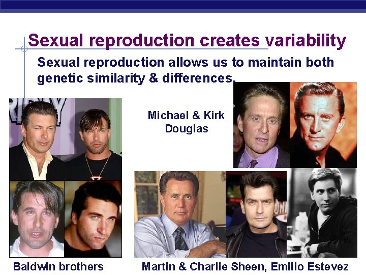 Sexual reproduction creates variability Sexual reproduction allows us to maintain both genetic similarity &