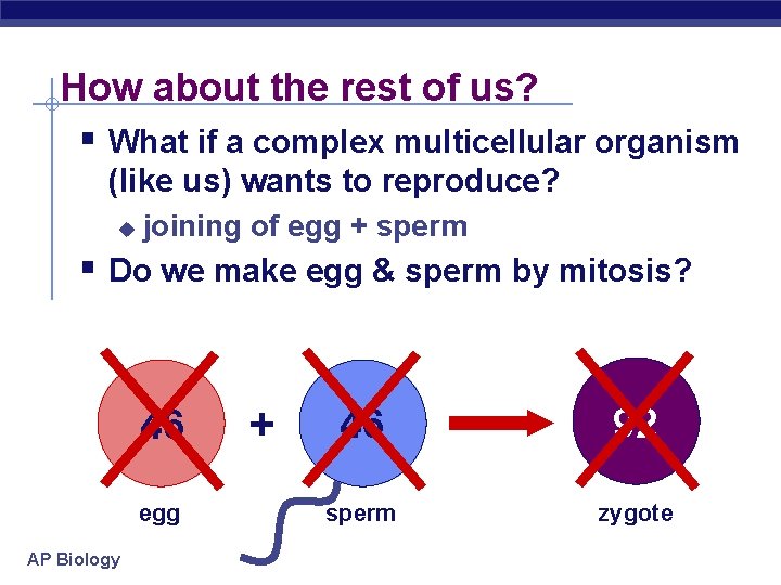 How about the rest of us? § What if a complex multicellular organism (like