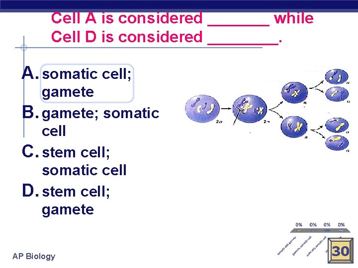 Cell A is considered _______ while Cell D is considered ____. A. somatic cell;