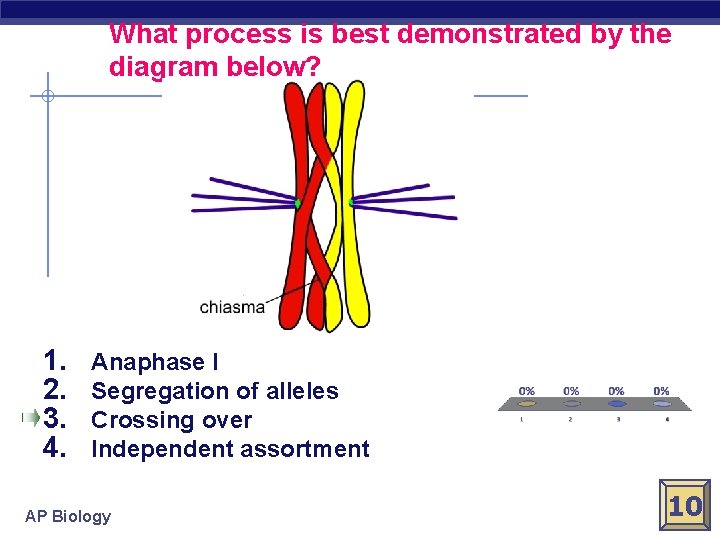 What process is best demonstrated by the diagram below? 1. 2. 3. 4. Anaphase