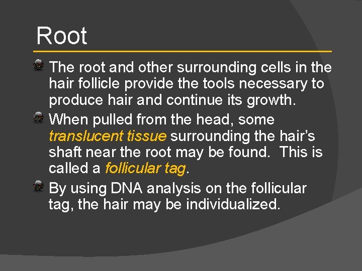 Root The root and other surrounding cells in the hair follicle provide the tools
