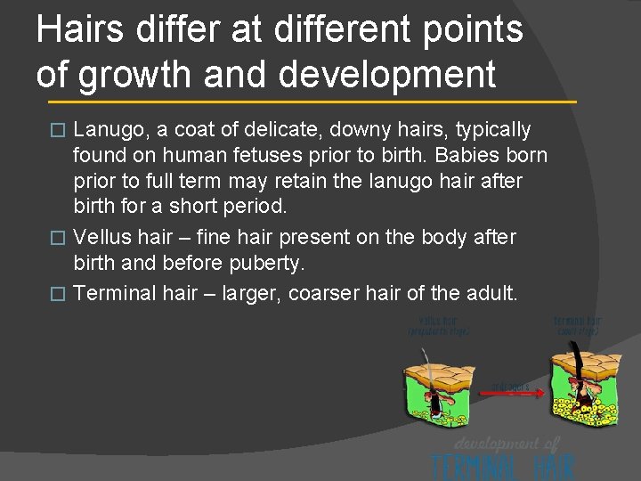 Hairs differ at different points of growth and development Lanugo, a coat of delicate,