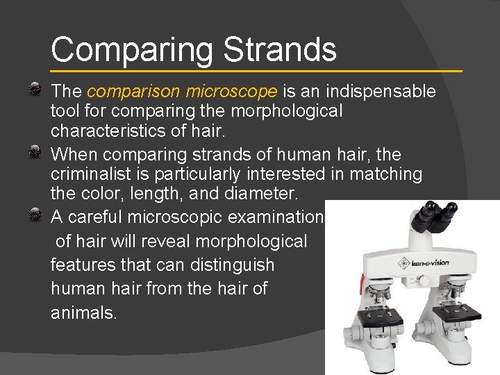 Comparing Strands The comparison microscope is an indispensable tool for comparing the morphological characteristics