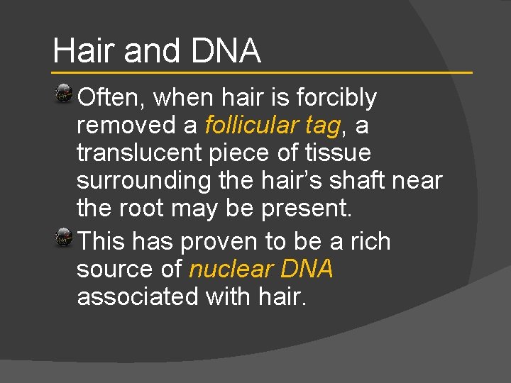 Hair and DNA Often, when hair is forcibly removed a follicular tag, a translucent