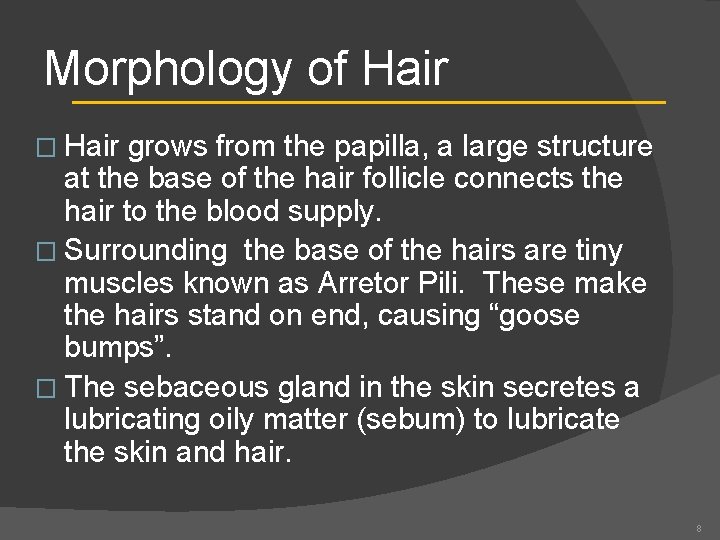 Morphology of Hair � Hair grows from the papilla, a large structure at the
