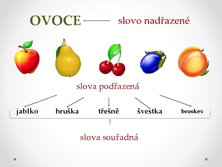 OVOCE slovo nadřazené slova podřazená jablko hruška třešně švestka slova souřadná broskev 
