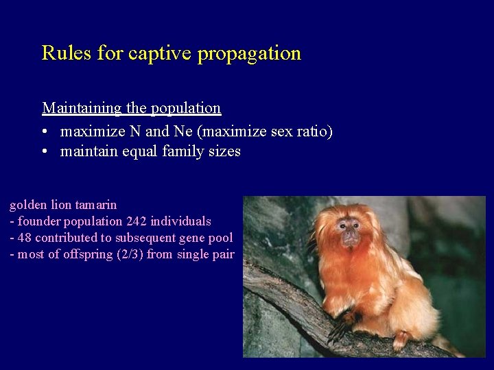 Rules for captive propagation Maintaining the population • maximize N and Ne (maximize sex