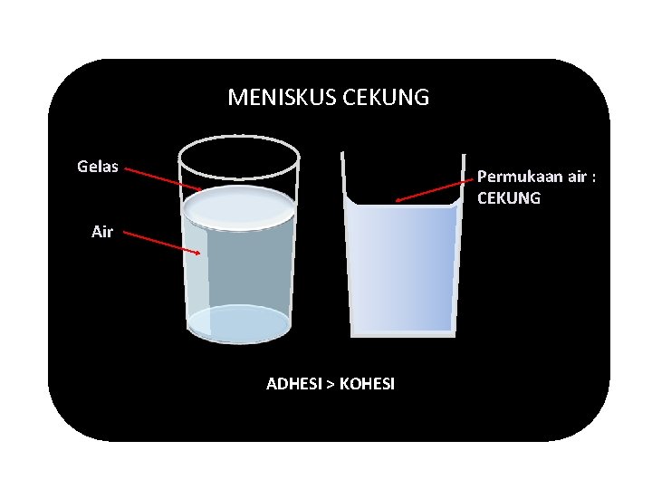 MENISKUS CEKUNG Gelas Permukaan air : CEKUNG Air ADHESI > KOHESI 