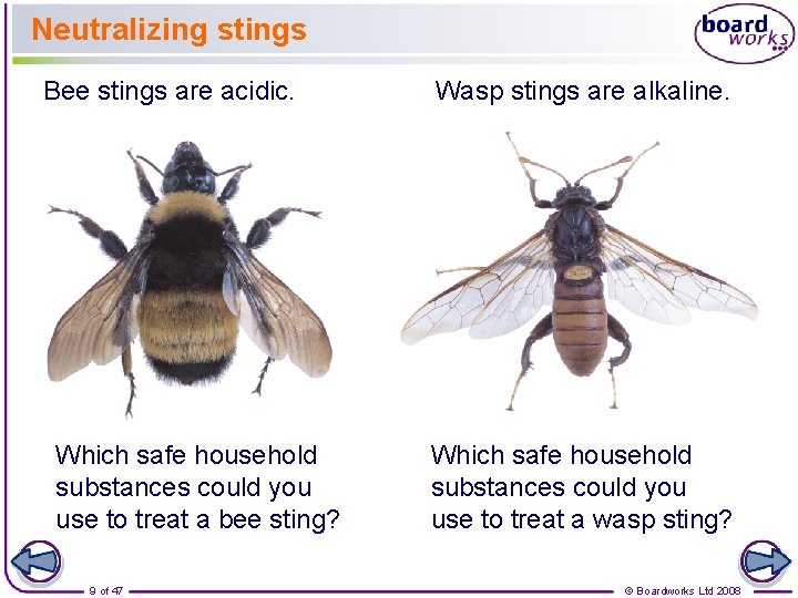 Neutralizing stings Bee stings are acidic. Which safe household substances could you use to