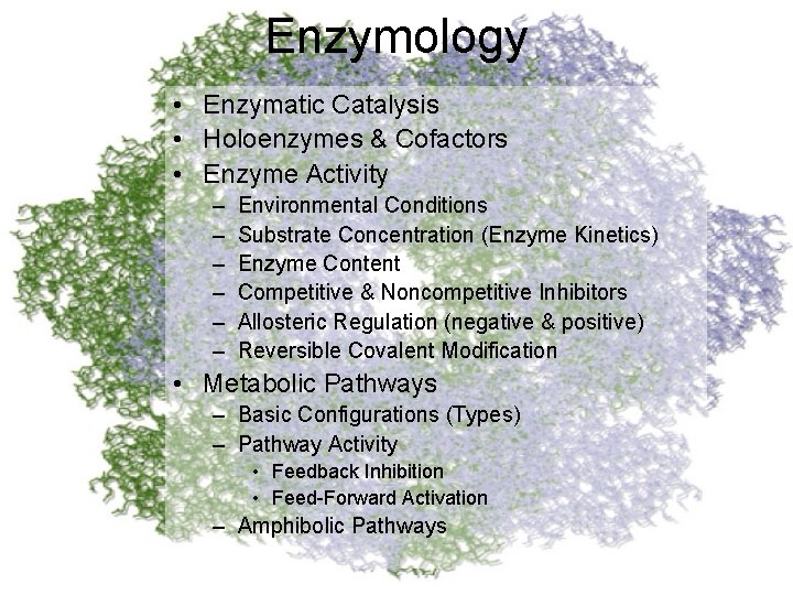 Enzymology • Enzymatic Catalysis • Holoenzymes & Cofactors • Enzyme Activity – – –