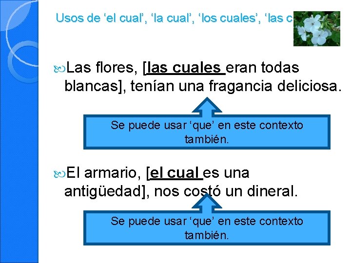 Usos de ‘el cual’, ‘la cual’, ‘los cuales’, ‘las cuales’ Las flores, [las cuales