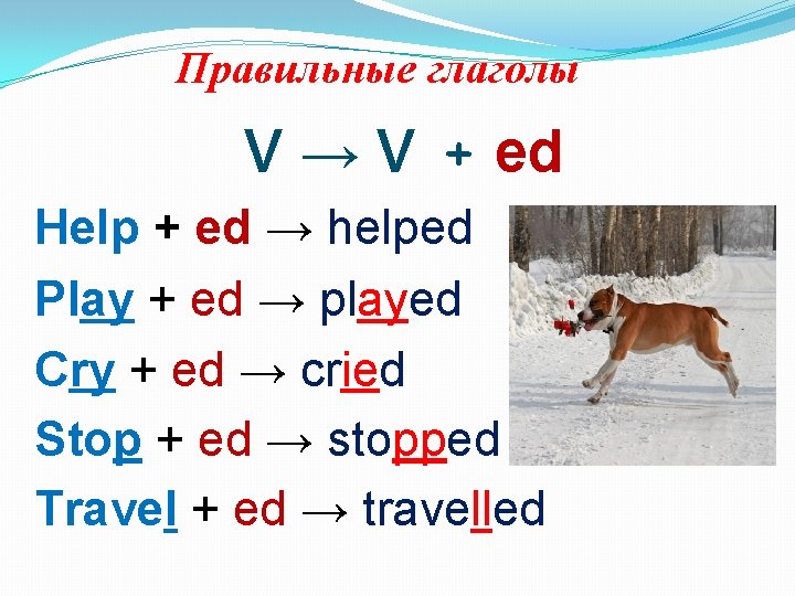 Правильные глаголы V → V + ed Help + ed → helped Play +
