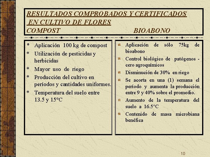 RESULTADOS COMPROBADOS Y CERTIFICADOS EN CULTIVO DE FLORES COMPOST BIOABONO * Aplicación 100 kg