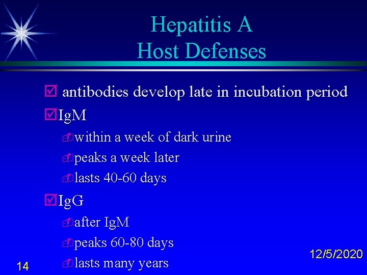 Hepatitis A Host Defenses þ antibodies develop late in incubation period þIg. M -within