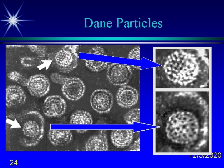 Dane Particles 24 12/5/2020 