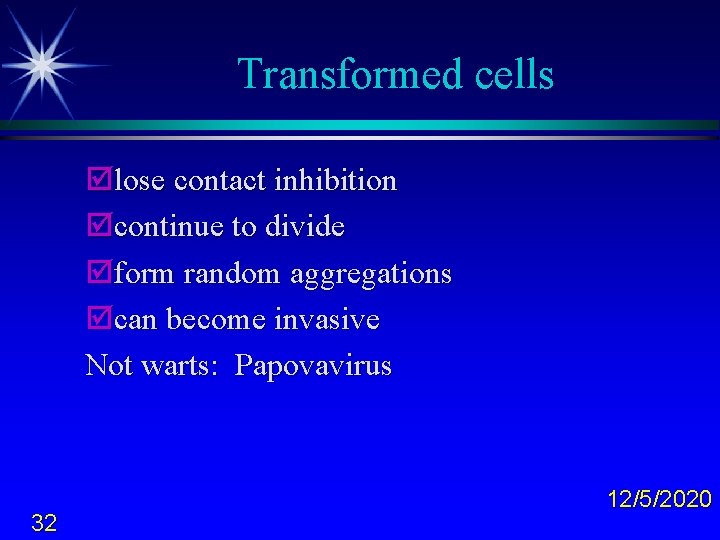 Transformed cells þlose contact inhibition þcontinue to divide þform random aggregations þcan become invasive