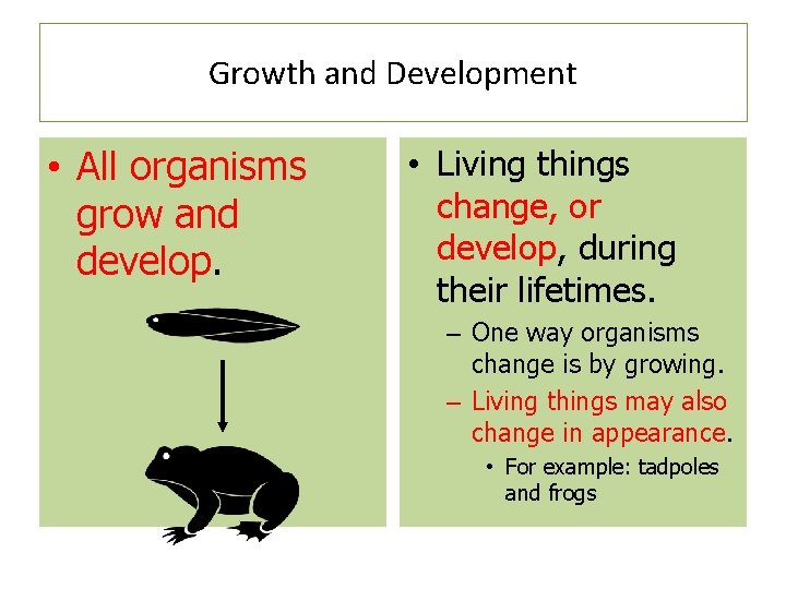 Growth and Development • All organisms grow and develop. • Living things change, or