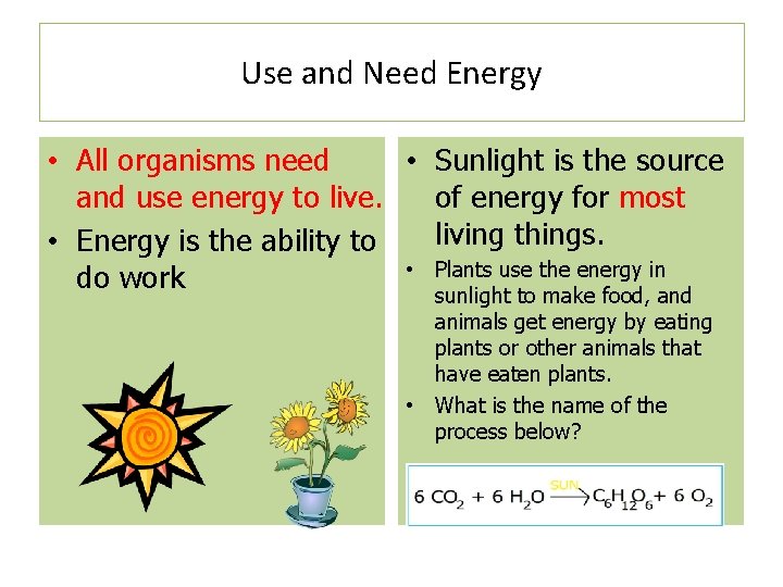 Use and Need Energy • All organisms need • Sunlight is the source and