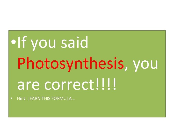  • If you said Photosynthesis, you are correct!!!! • Hint: LEARN THIS FORMULA…