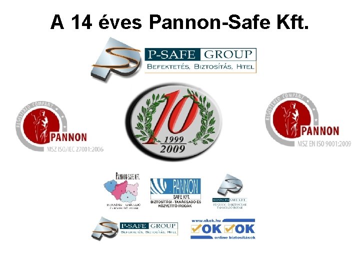 A 14 éves Pannon-Safe Kft. 