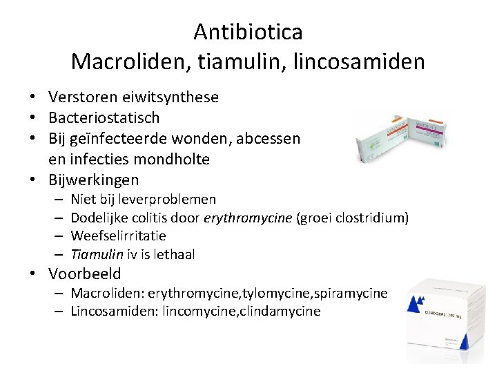 Antibiotica Macroliden, tiamulin, lincosamiden • Verstoren eiwitsynthese • Bacteriostatisch • Bij geïnfecteerde wonden, abcessen
