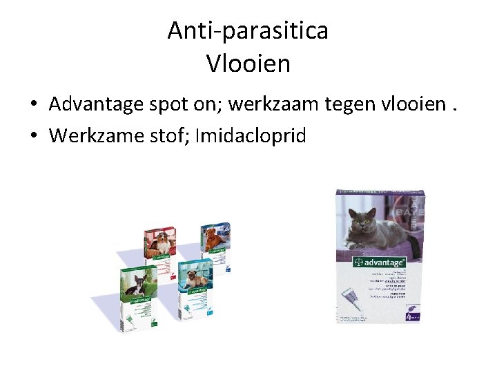 Anti-parasitica Vlooien • Advantage spot on; werkzaam tegen vlooien. • Werkzame stof; Imidacloprid 