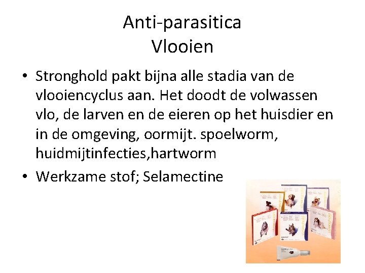 Anti-parasitica Vlooien • Stronghold pakt bijna alle stadia van de vlooiencyclus aan. Het doodt