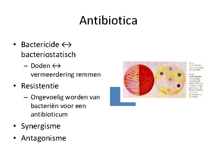 Antibiotica • Bactericide ↔ bacteriostatisch – Doden ↔ vermeerdering remmen • Resistentie – Ongevoelig