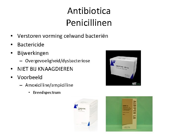 Antibiotica Penicillinen • Verstoren vorming celwand bacteriën • Bactericide • Bijwerkingen – Overgevoeligheid/dysbacteriose •
