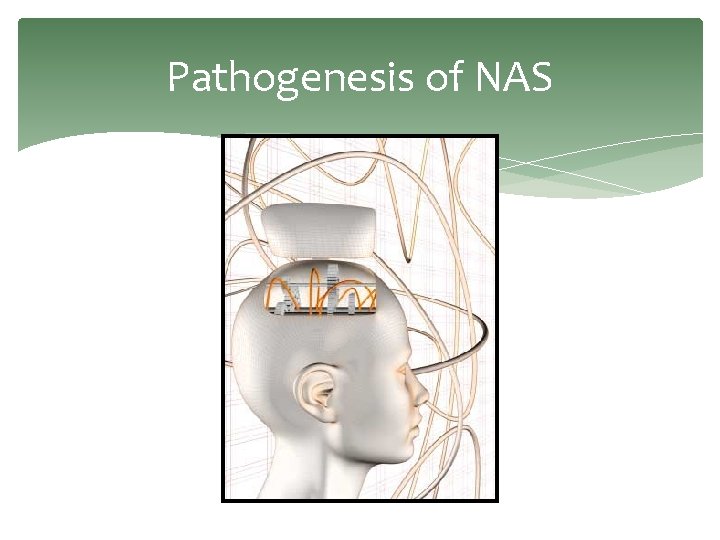 Pathogenesis of NAS 