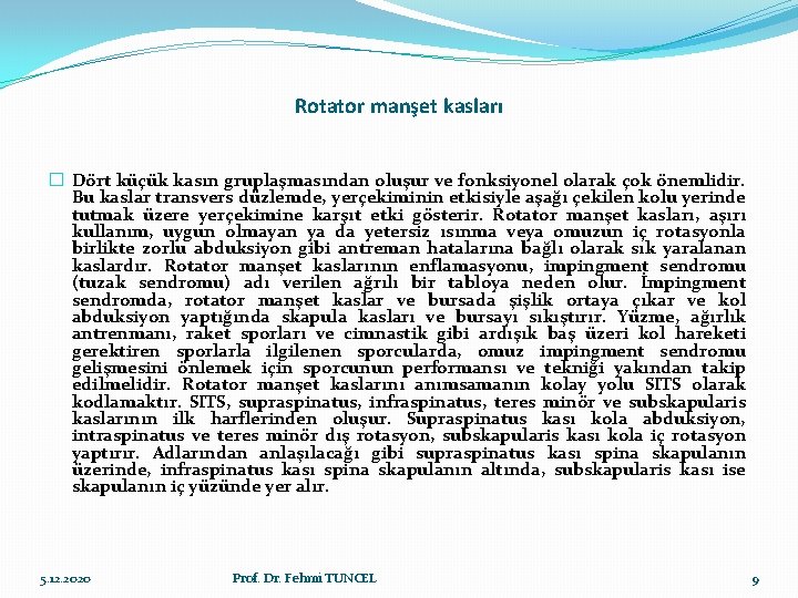 Rotator manşet kasları � Dört küçük kasın gruplaşmasından oluşur ve fonksiyonel olarak çok önemlidir.