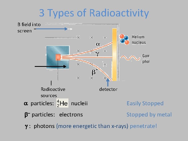 3 Types of Radioactivity B field into screen Radioactive sources a particles: detector nucleii 3 Types of Radioactivity B field into screen Radioactive sources a particles: detector nucleii