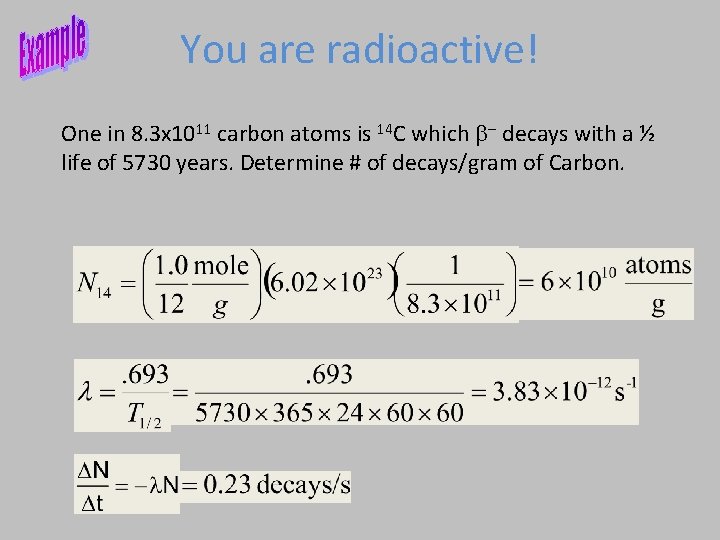 You are radioactive! One in 8. 3 x 1011 carbon atoms is 14 C You are radioactive! One in 8. 3 x 1011 carbon atoms is 14 C