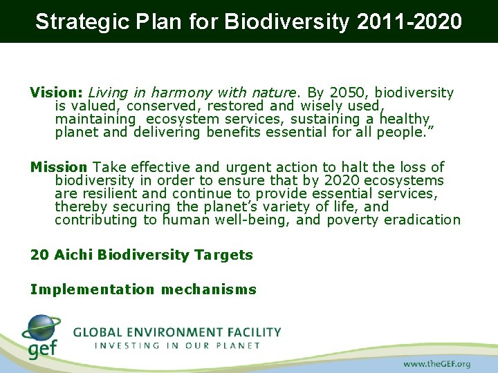 CBD Presentation A Decade for Biodiversity Implementation of