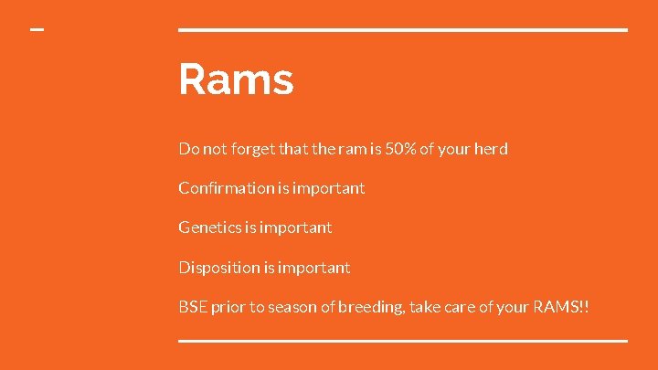 Rams Do not forget that the ram is 50% of your herd Confirmation is
