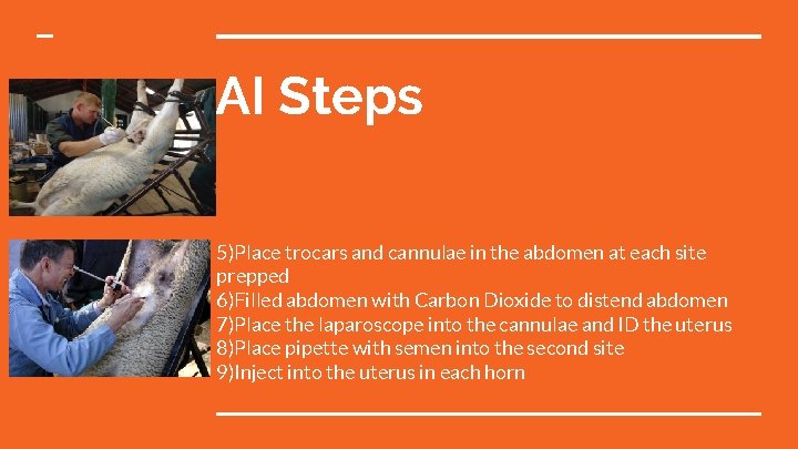 AI Steps 5)Place trocars and cannulae in the abdomen at each site prepped 6)Filled